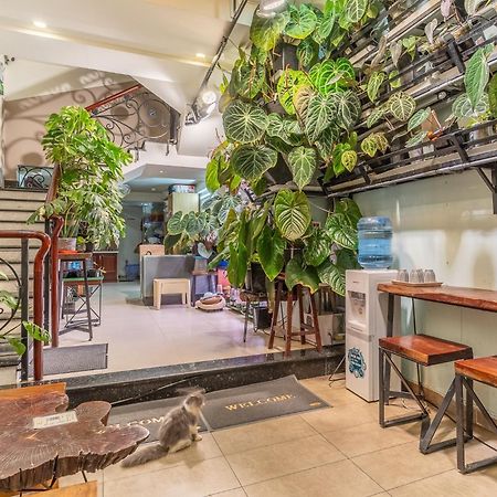 Amango Dorm Hostel Ho Si Minh-város Kültér fotó