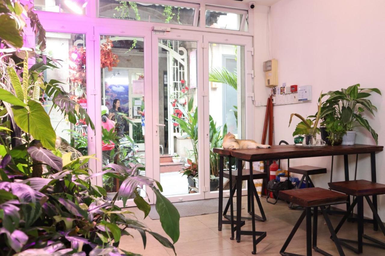 Amango Dorm Hostel Ho Si Minh-város Kültér fotó