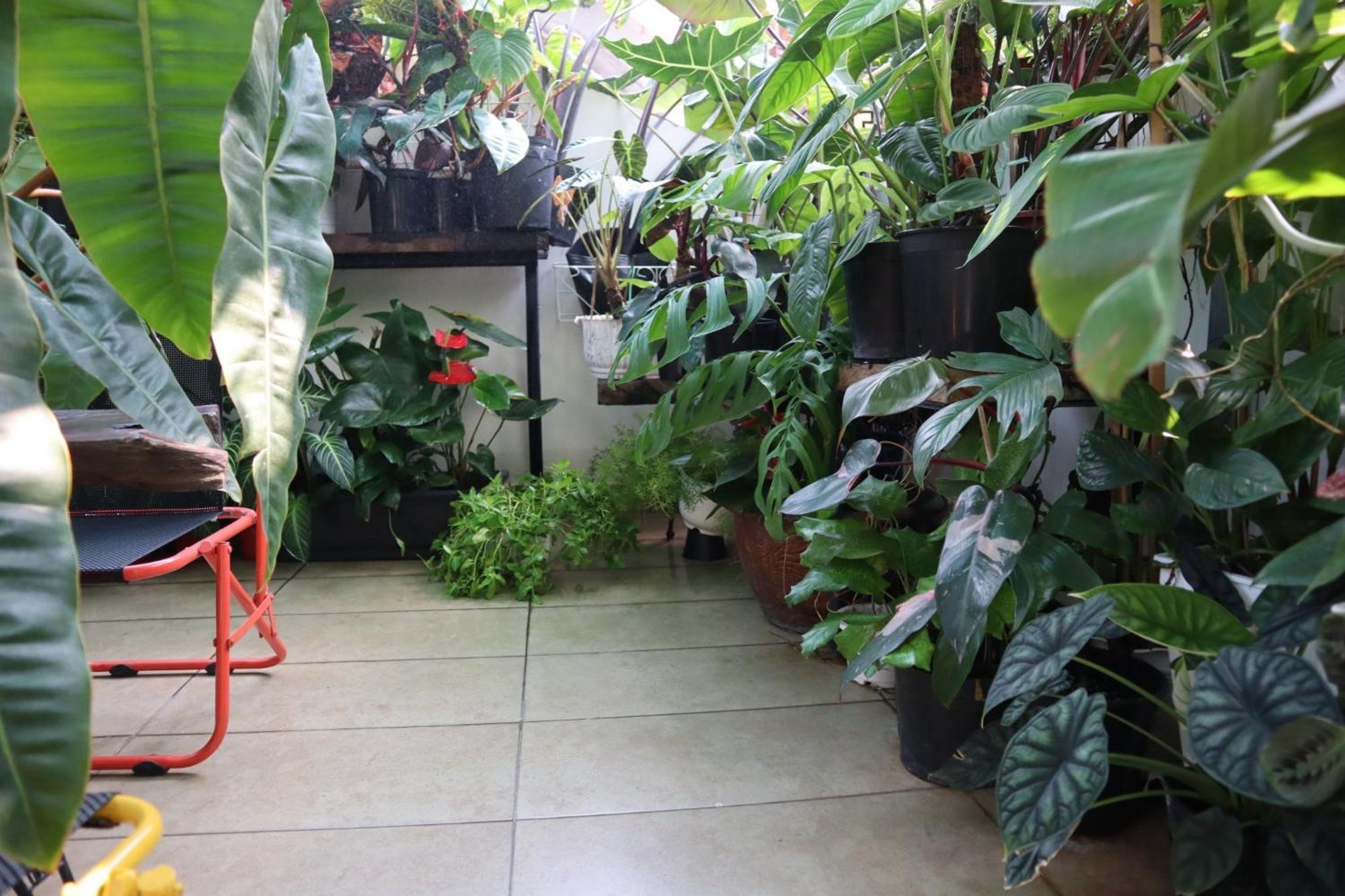 Amango Dorm Hostel Ho Si Minh-város Kültér fotó